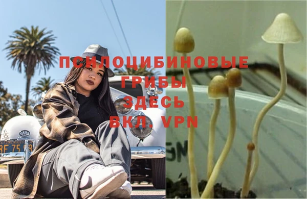 твердый Беломорск
