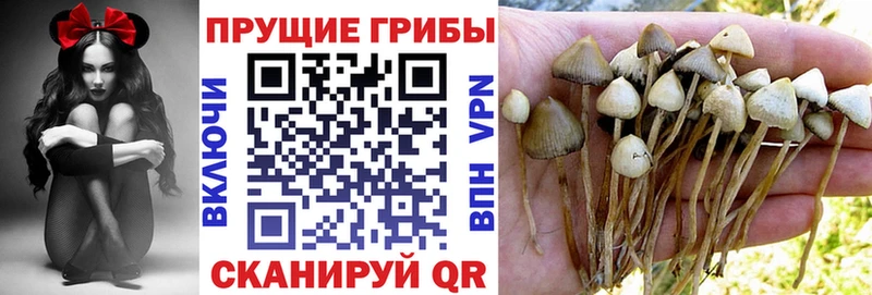 Галлюциногенные грибы Psilocybe  мориарти наркотические препараты  Белорецк 